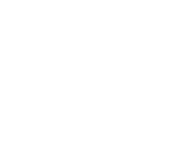 Use Describer API